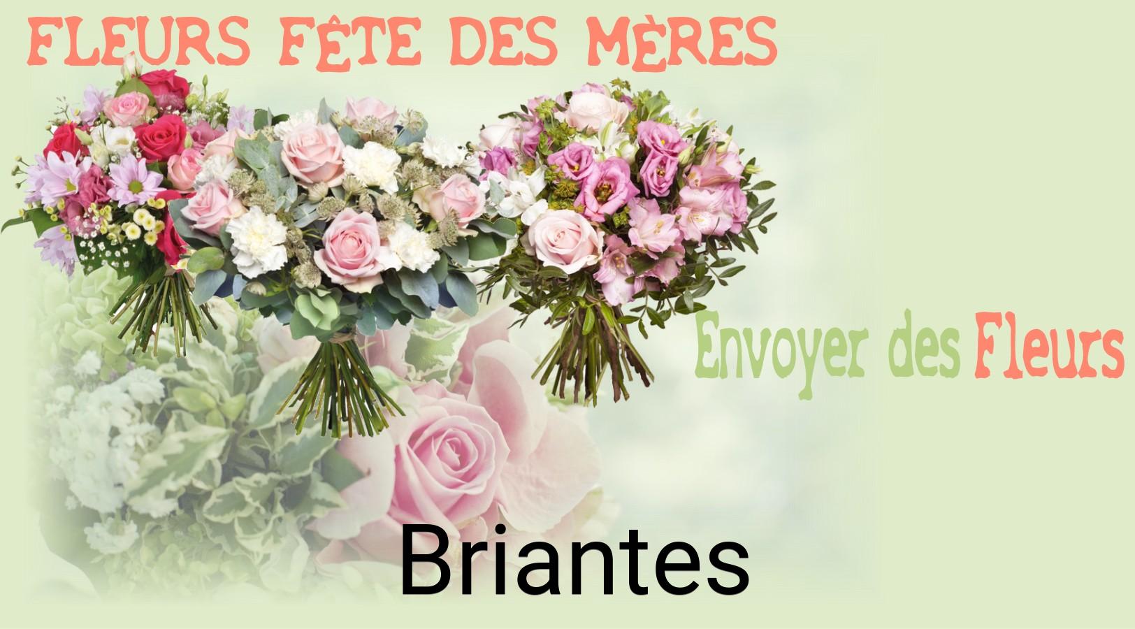 Bouquet de Fête des Mères livré à Briantes